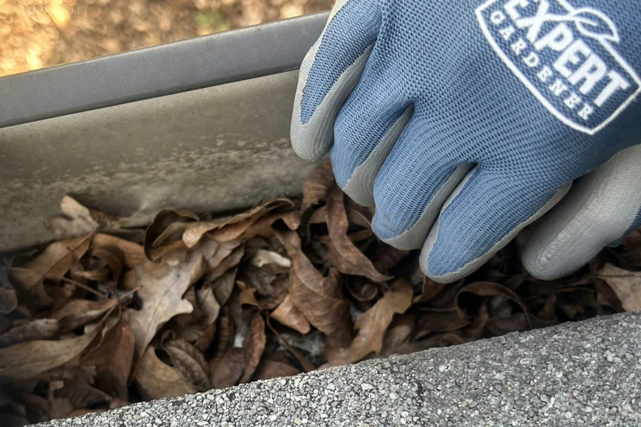 Shepherdsville Gutter Cleaning