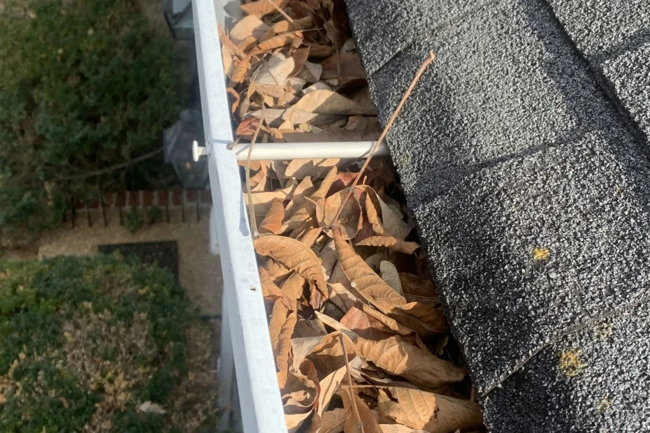 Shepherdsville Gutter Cleaning