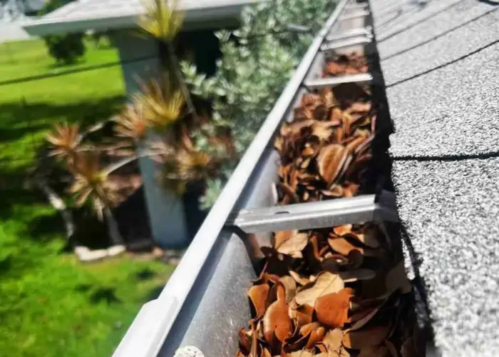 Gutter Cleaning Shepherdsville home page